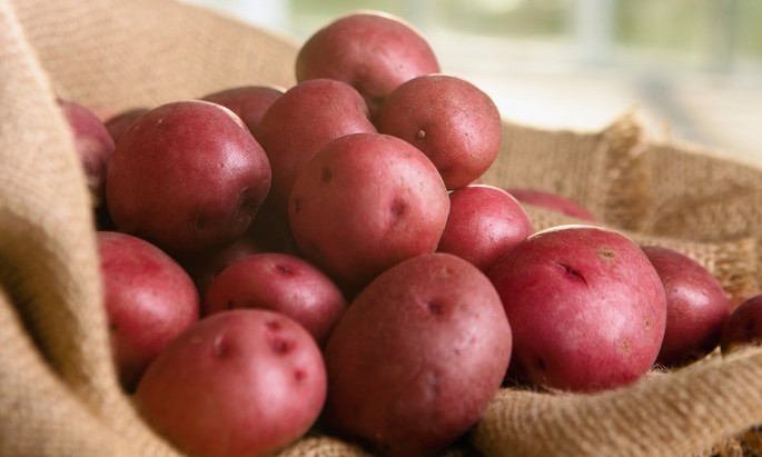 Image of red potatoes Red Potatoes