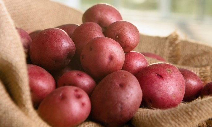 Red Potatoes