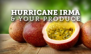 Hurricane Irma and Your Produce